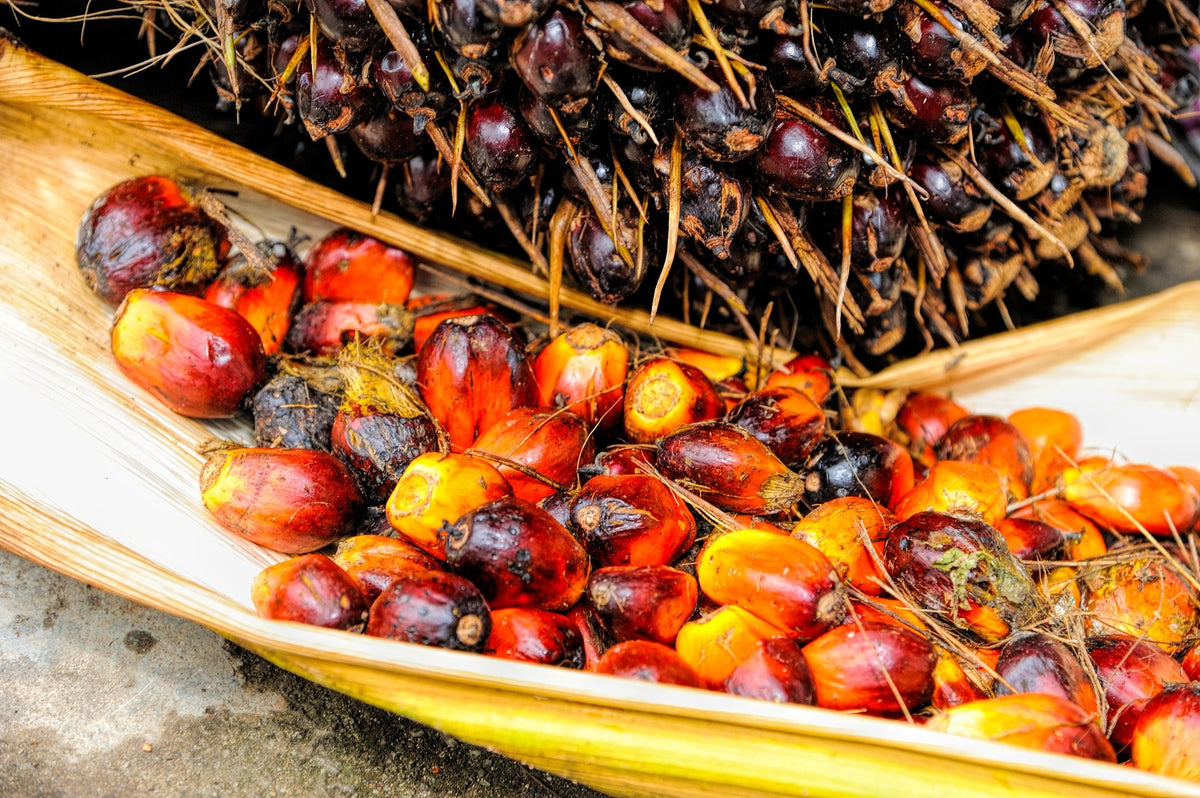 RSPO Sustainable Palm Oil