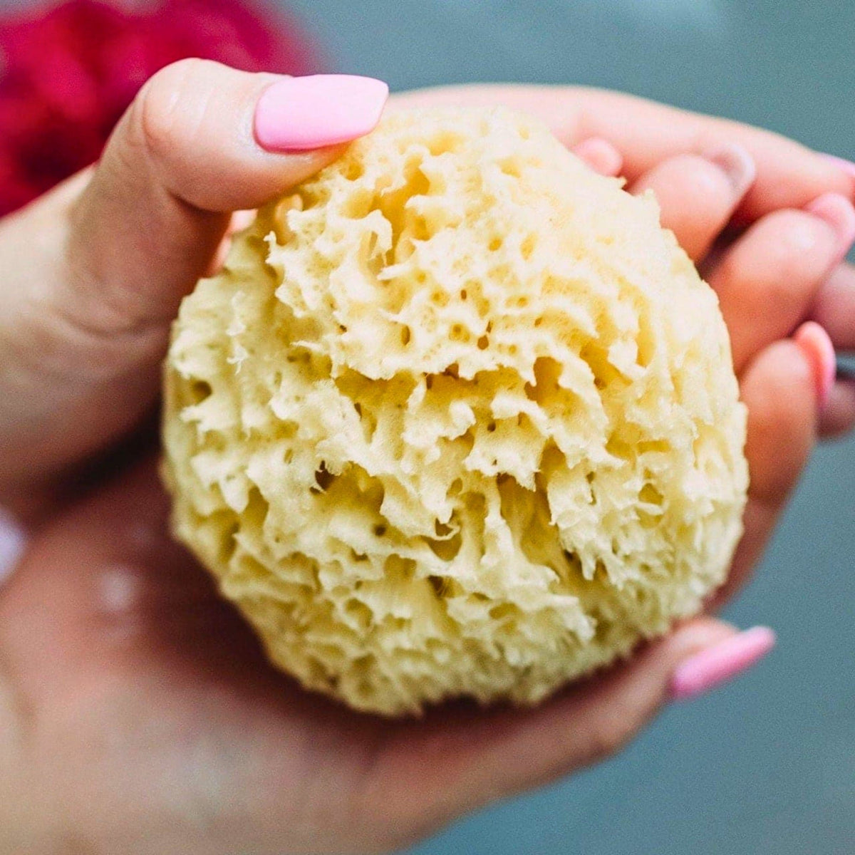 All Natural Dead Sea Sponge