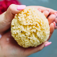 All Natural Dead Sea Sponge