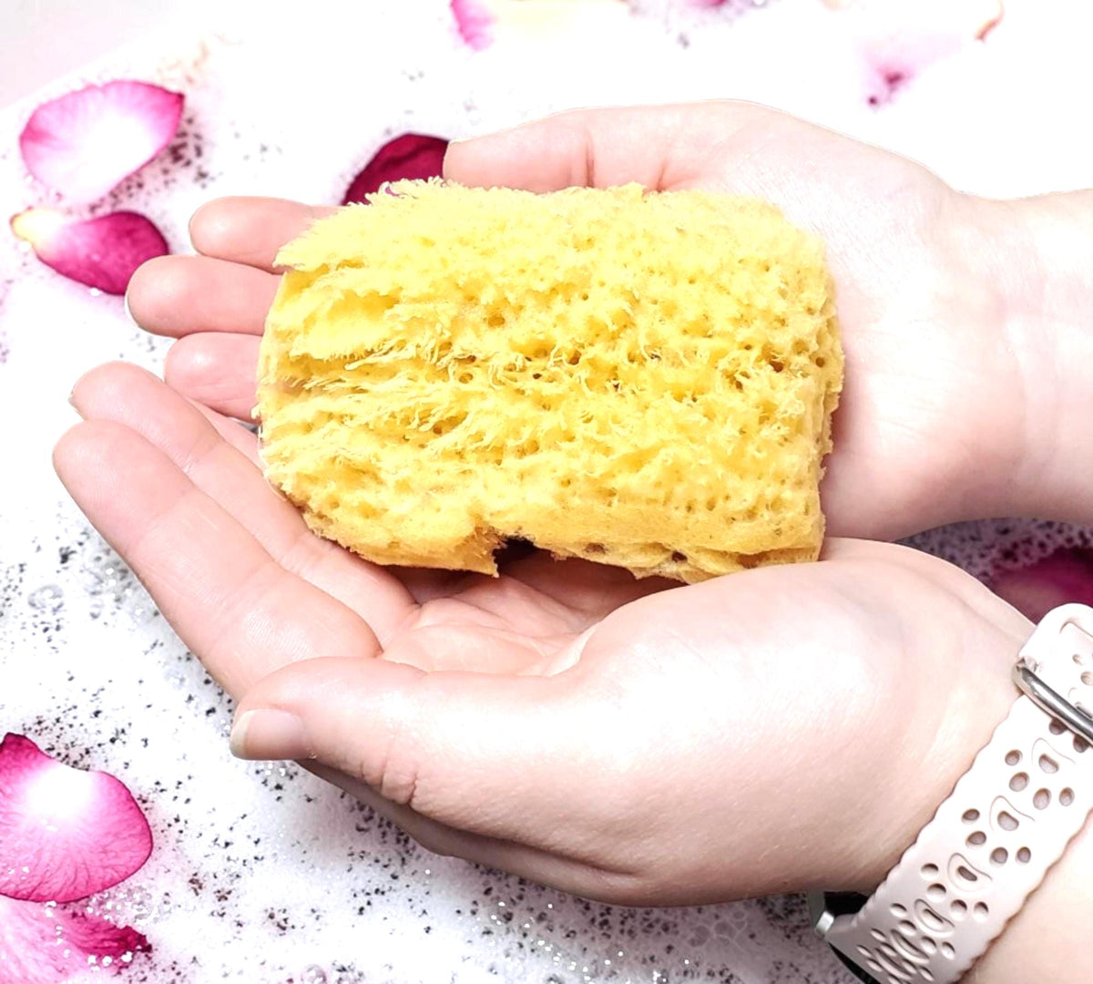 All Natural Dead Sea Sponge