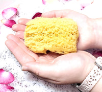 All Natural Dead Sea Sponge