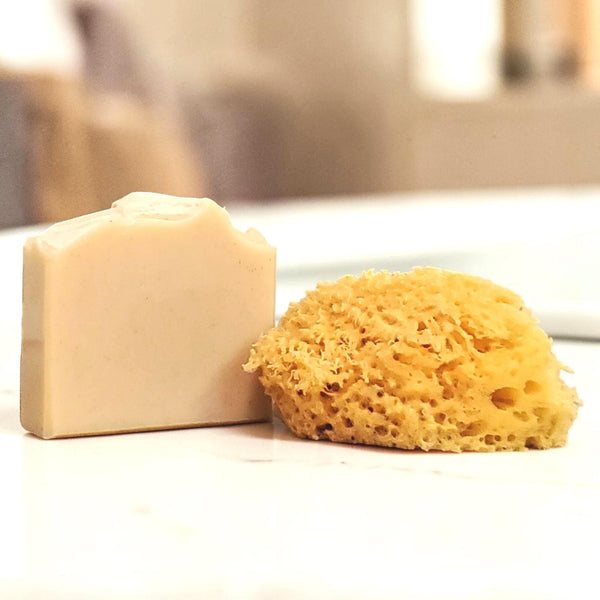 All Natural Dead Sea Sponge